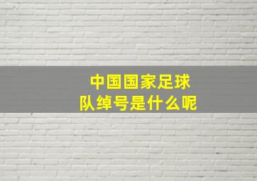 中国国家足球队绰号是什么呢