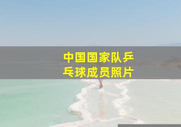 中国国家队乒乓球成员照片