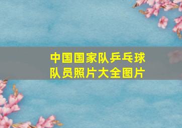 中国国家队乒乓球队员照片大全图片