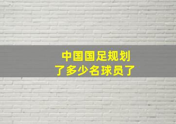 中国国足规划了多少名球员了