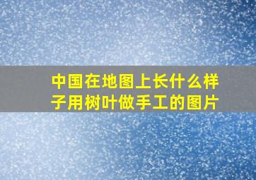 中国在地图上长什么样子用树叶做手工的图片