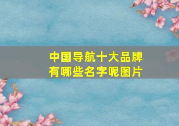 中国导航十大品牌有哪些名字呢图片