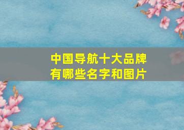 中国导航十大品牌有哪些名字和图片