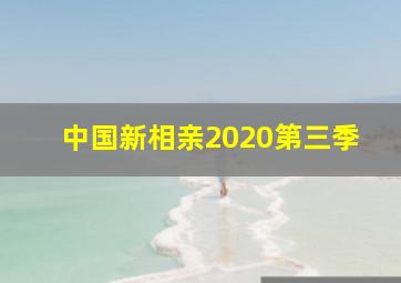 中国新相亲2020第三季