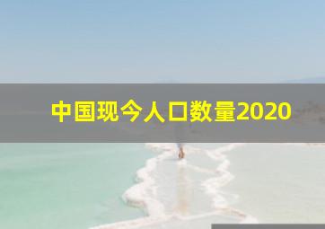 中国现今人口数量2020