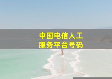 中国电信人工服务平台号码