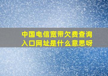 中国电信宽带欠费查询入口网址是什么意思呀