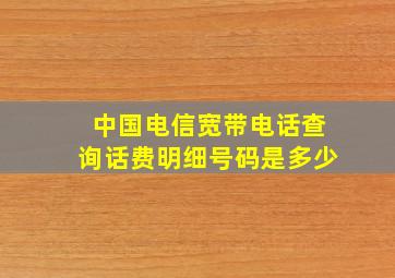 中国电信宽带电话查询话费明细号码是多少