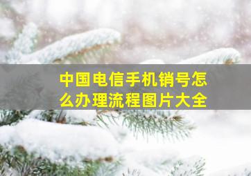 中国电信手机销号怎么办理流程图片大全