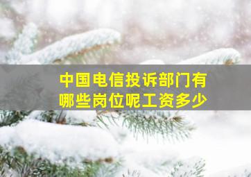 中国电信投诉部门有哪些岗位呢工资多少