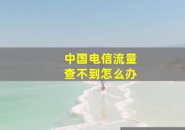 中国电信流量查不到怎么办