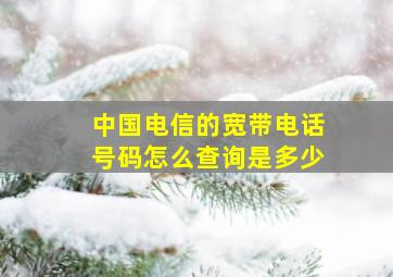 中国电信的宽带电话号码怎么查询是多少