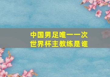 中国男足唯一一次世界杯主教练是谁