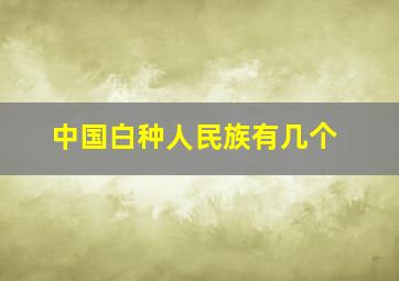 中国白种人民族有几个