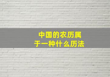 中国的农历属于一种什么历法