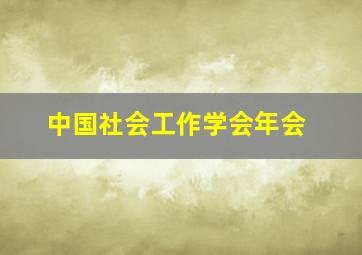 中国社会工作学会年会