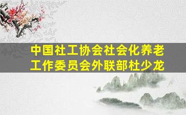 中国社工协会社会化养老工作委员会外联部杜少龙