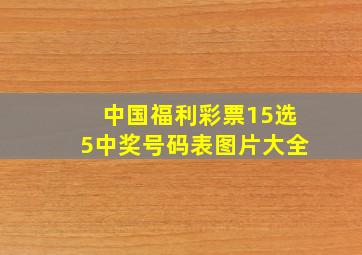 中国福利彩票15选5中奖号码表图片大全