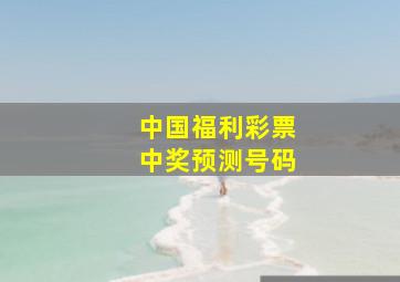 中国福利彩票中奖预测号码