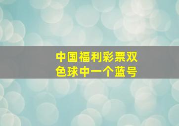 中国福利彩票双色球中一个蓝号