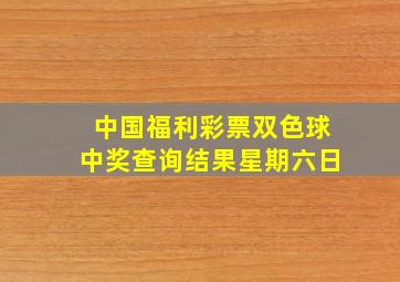 中国福利彩票双色球中奖查询结果星期六日