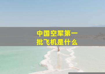 中国空军第一批飞机是什么