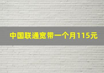 中国联通宽带一个月115元