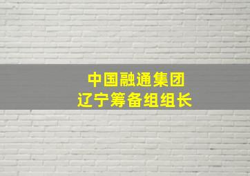 中国融通集团辽宁筹备组组长