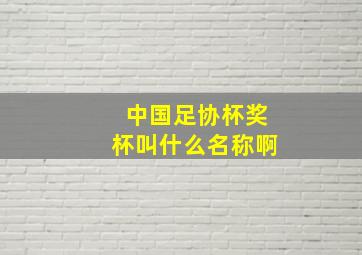 中国足协杯奖杯叫什么名称啊