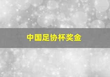 中国足协杯奖金