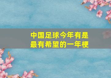 中国足球今年有是最有希望的一年梗