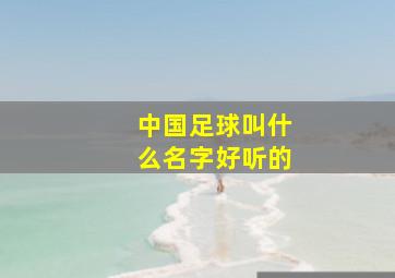 中国足球叫什么名字好听的