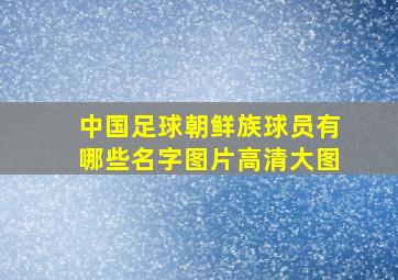 中国足球朝鲜族球员有哪些名字图片高清大图