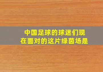 中国足球的球迷们现在面对的这片绿茵场是