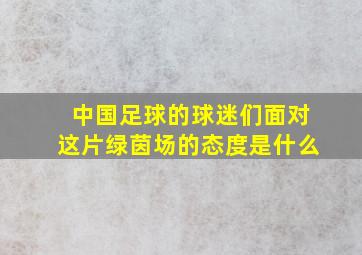 中国足球的球迷们面对这片绿茵场的态度是什么