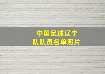 中国足球辽宁队队员名单照片