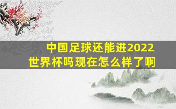 中国足球还能进2022世界杯吗现在怎么样了啊