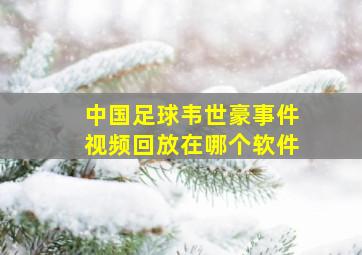 中国足球韦世豪事件视频回放在哪个软件