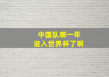 中国队哪一年进入世界杯了啊