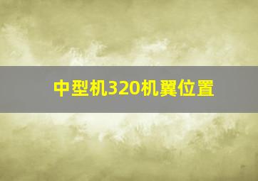 中型机320机翼位置