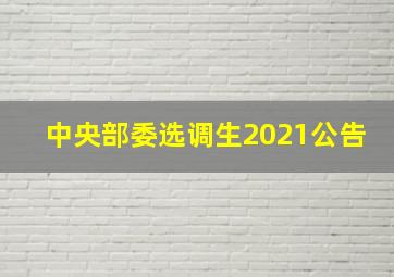 中央部委选调生2021公告