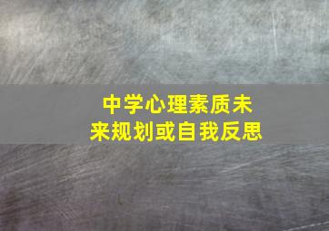 中学心理素质未来规划或自我反思