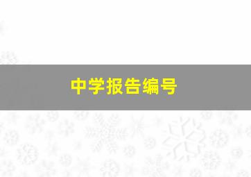 中学报告编号