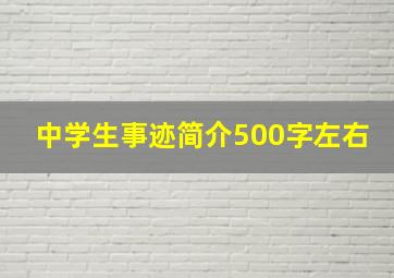 中学生事迹简介500字左右