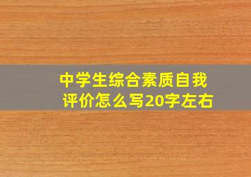 中学生综合素质自我评价怎么写20字左右