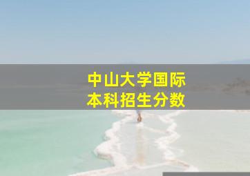 中山大学国际本科招生分数