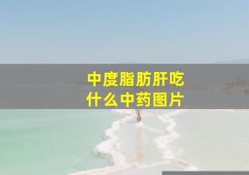 中度脂肪肝吃什么中药图片