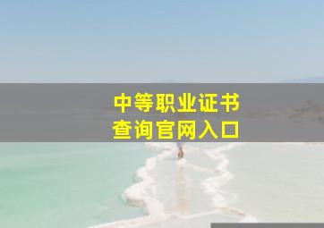 中等职业证书查询官网入口