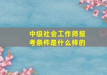 中级社会工作师报考条件是什么样的