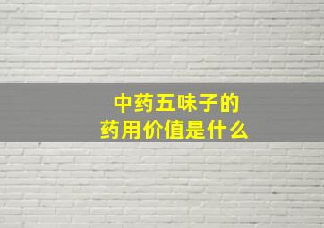 中药五味子的药用价值是什么